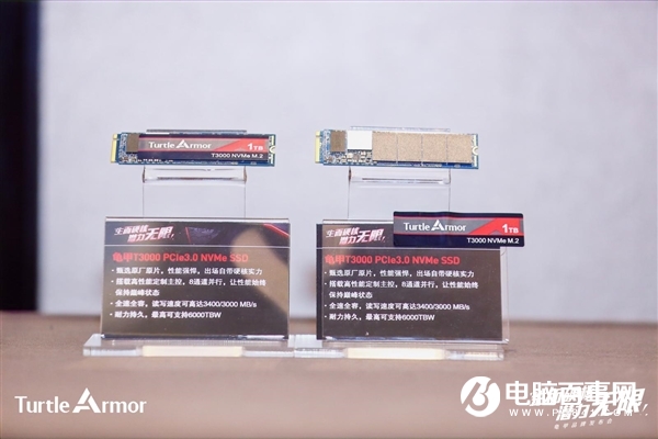 龜甲！全新國(guó)產(chǎn)SSD品牌誕生 只用原廠顆粒