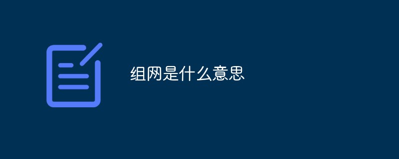 組網是什么意思