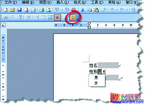 Word文檔受保護 巧用窗體域 讓Word文檔受保護不被刪除