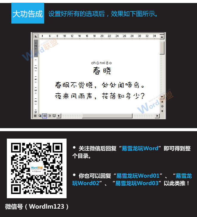 Word標注拼音 詳解Word2003如何添加拼音標注