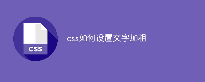 css如何設(shè)置文字加粗