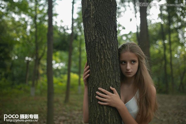 PS調出森林人像秋季唯美藝術效果