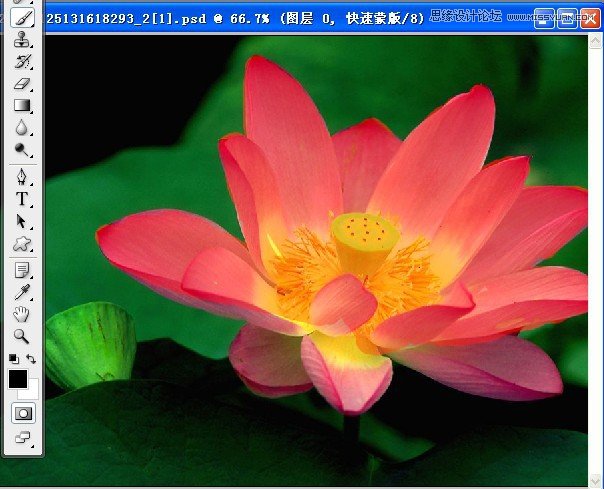 PS深度解析蒙版的應用和技巧