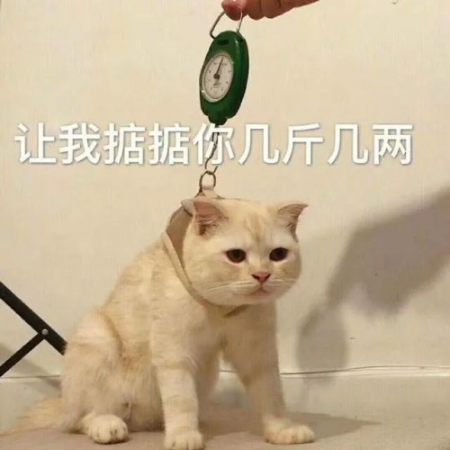 【實驗室】安卓與iOS性能全方位PK，能打得過嗎？