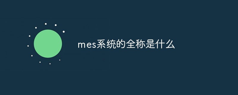 mes系統的全稱是什么