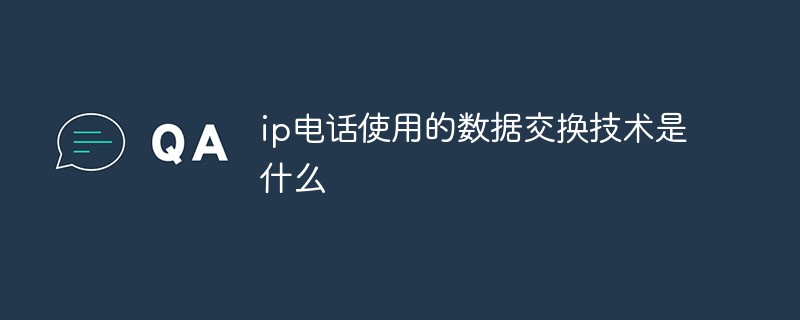 ip電話使用的數據交換技術是什么
