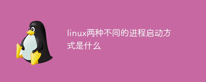 linux兩種不同的進(jìn)程啟動(dòng)方式是什么