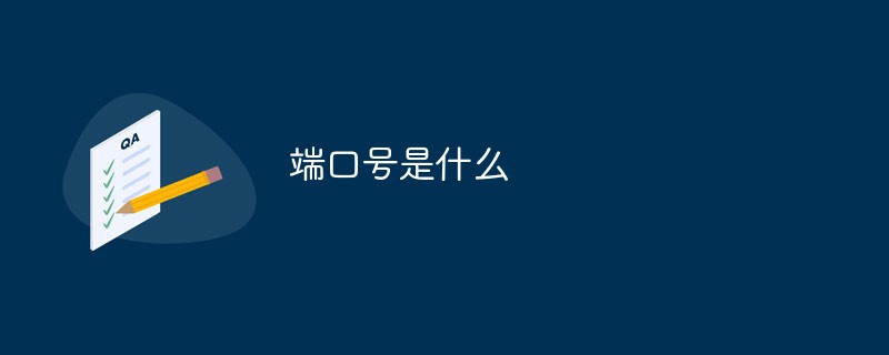 端口號是什么