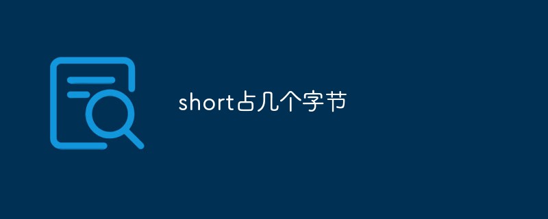 short占幾個字節