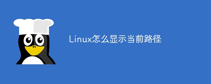 Linux怎么顯示當前路徑