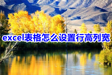 excel表格怎么設置行高列寬 excel在哪里設置行高列寬