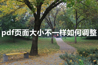 pdf頁(yè)面大小不一樣如何調(diào)整 pdf頁(yè)面大小不一樣怎么解決